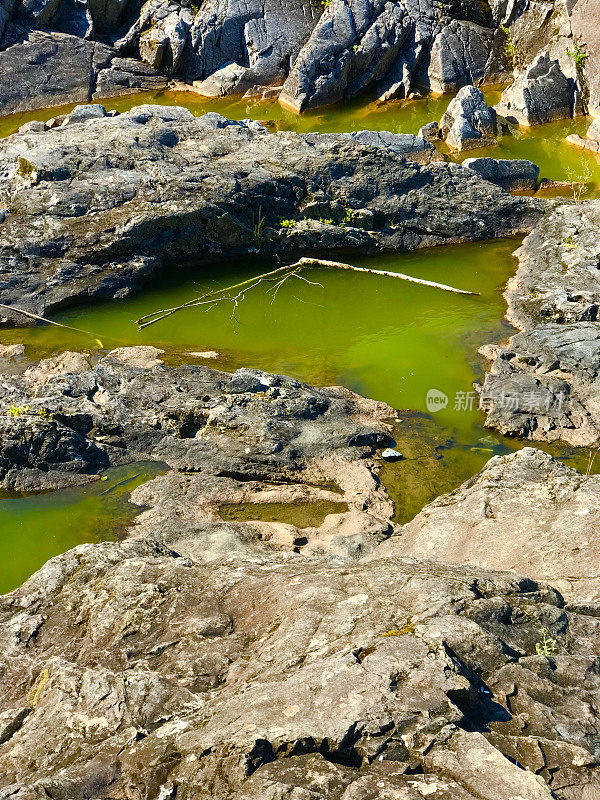 温哥华岛Wally Creek